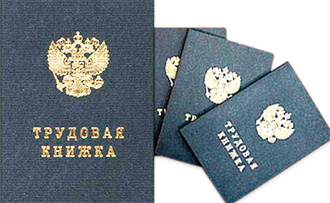 Трудовая книжка. Паспорт профессионального мира